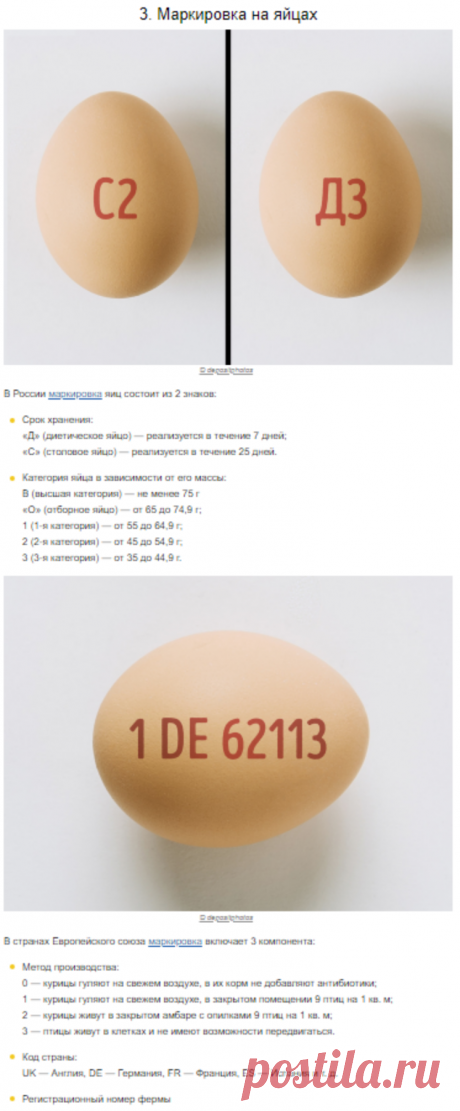 9 фактов о привычных вещах, которые удивят даже тех, кто думает, что знает все