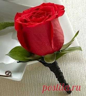 Google+ – #flowers