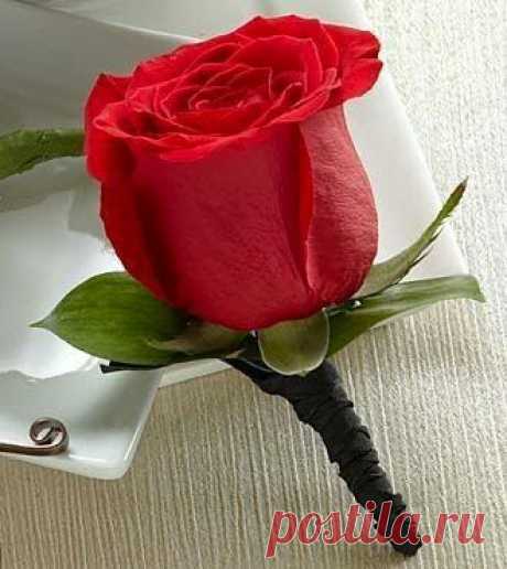 Google+ – #flowers