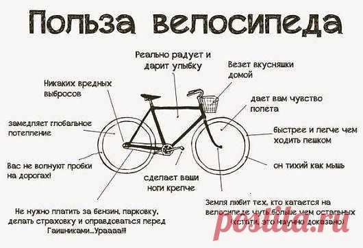 Какую же пользу приносит езда на велосипеде?