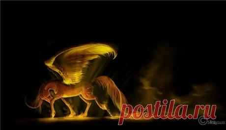 Аликорн - дитя единорога и пегаса » Сайт о лошадях KoHuKu.ru