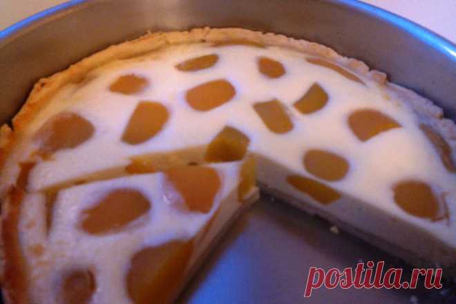 Абрикосово-творожный пирог рецепт – русская кухня: выпечка и десерты