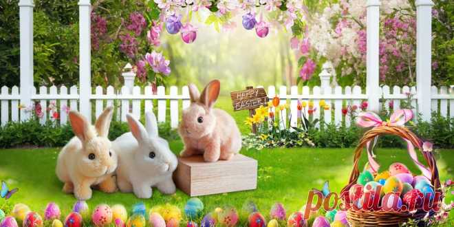 BunnyPal Give Kids the Real Fun, Real Connection!