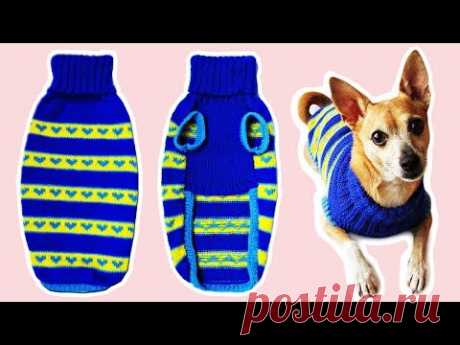 ВЯЖЕМ СВИТЕР ДЛЯ СОБАКИ | DIY DOG SWEATER