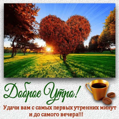 Утра доброго желаю
И сегодня, как всегда,
Поцелуй свой посылаю.
Ты почувствуй в нём меня!