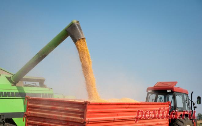 РИА Новости: прогресс в вопросе зерновой сделки остается маловероятным. Переговорный процесс сложный из-за принципиальных позиций сторон, отметил дипломатический источник в Анкаре.