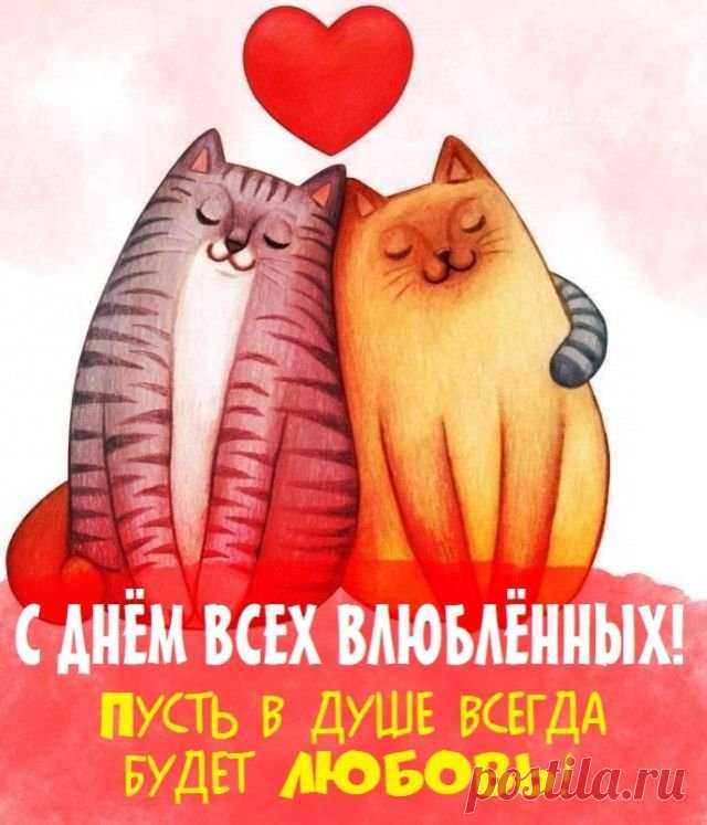 В День святого Валентина
Пожелаю быть любимым,
И здоровым, и счастливым,
Добрым, умным и красивым.