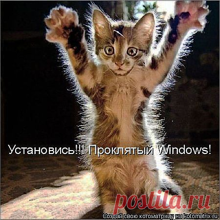 Котоматрица | ПРИСТАНЬ ОПТИМИСТОВ