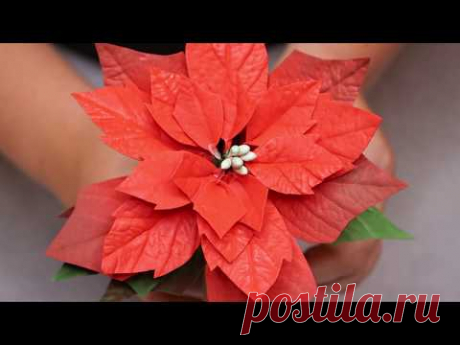 Пуансеттия из фоамирана (Рождественская звезда) / Рождественник / DIY / Poinsettiya own hands - YouTube

В видео покажу как сделать пуансеттию или рождественскую звезду из фоамирана.
Пуансеттия уже давно является атрибутом Рождества и Нового Года, так как распускается этот цветок именно в декабре.

#пуансетия #фоамиран #своимируками