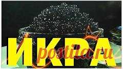 Галилео. Секреты фокусов. Карты (часть 1) - YouTube