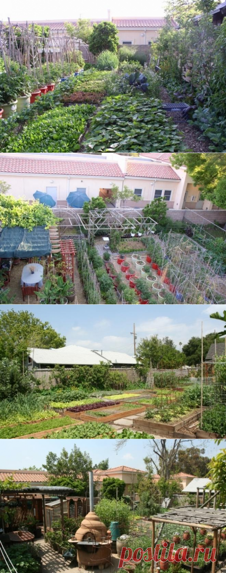 ΠΠ°ΠΊ Π·Π΅ΠΌΠ΅Π»ΡΠ½ΡΠΉ ΡΡΠ°ΡΡΠΎΠΊ Π² 4 ΡΠΎΡΠΊΠΈ ΠΌΠΎΠΆΠ΅Ρ ΠΏΡΠΎΠΊΠΎΡΠΌΠΈΡΡ ΠΏΠΎΠ»Π³ΠΎΡΠΎΠ΄Π°?