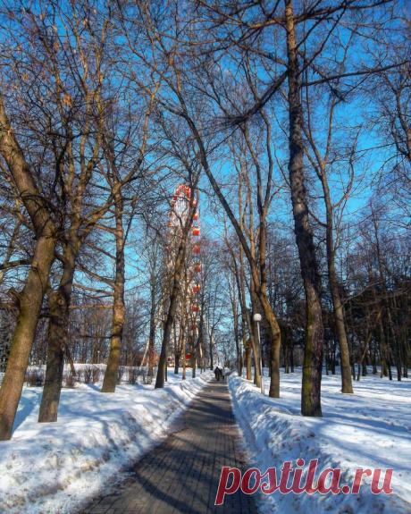 Природа, парк, колесо обозрения, зима.