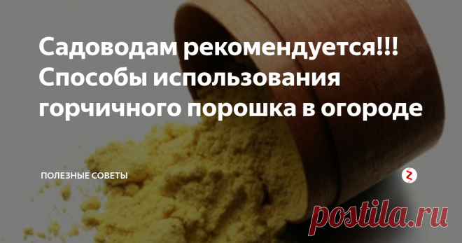 Садоводам рекомендуется!!! Способы использования горчичного порошка в огороде