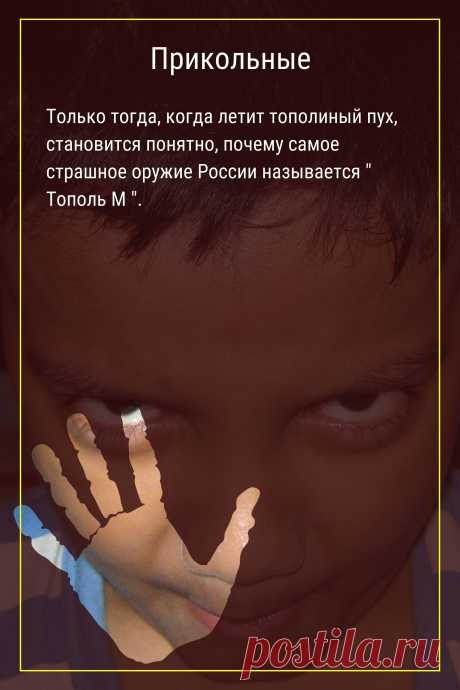Цитата про «Приколы» — Только тогда, когда летит тополиный пух,…