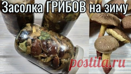 Засолка ГРИБОВ на зиму простой и проверенный рецепт!