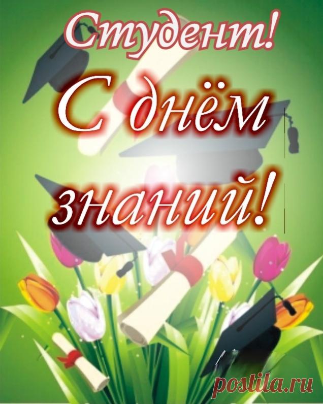 Всех студентов поздравляю
С праздником — днем знаний,
Вновь гранит науки грызть
Предстоит нам с вами.