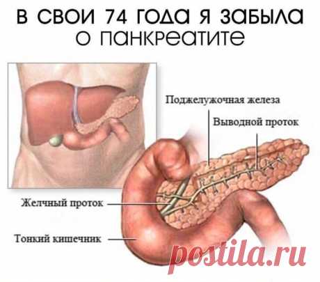 Большая к вам просьба передать бесконечно великую благодарность врачу-психотерапевту из Челябинской области Елене Александровне Виноградовой за рецепт лечения панкреатита настойкой прополиса. Я мучилась этой болезнью 19 лет — сейчас мне 74.
Лечиться стала немедленно после публикации статьи в газете. И вот уже много лет живу без болей.
Лечение простое и дешевое: 20 капель 10%-ной настойки прополиса (есть в аптеках) накапать в полстакана вскипяченного горячего молока. Выпить...
