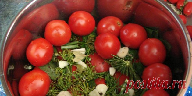 Как приготовить вкусные малосольные помидоры - Лайфхакер