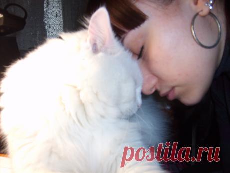 Просто дружба...