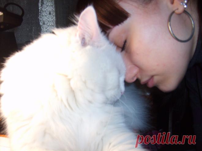 Просто дружба...