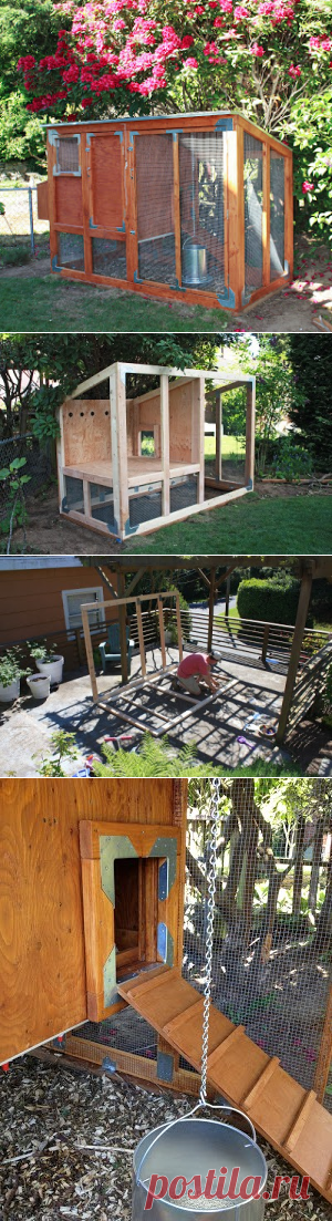 Как построить курятник