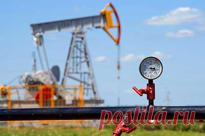 В Индии оценили увеличение расходов в случае отказа от российской нефти
