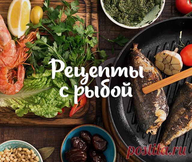 Рецепты блюд из рыбы - подборки пошаговых рецептов с фото и видео | Maggi Вкусные и простые рецепты из рыбы на каждый день или к праздничному столу. Как приготовить рыбу - пошаговые рецепты рыбных блюд с фото и видео процесса приготовления.