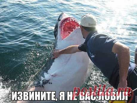 6 Нових повідомлень