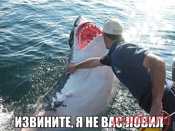 6 Нових повідомлень
