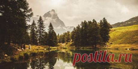 Как скачать фоновые изображения экрана блокировки Spotlight в Windows 10 В самой свежей версии операционной системы от компании Microsoft появилась новая функция под названием Windows Spotlight. Она служит для периодической смены фоновых изображений на экране блокировки Windows 10. В этой статье мы вам расскажем, как можно скачать все эти замечательные картинки на свой компьютер.