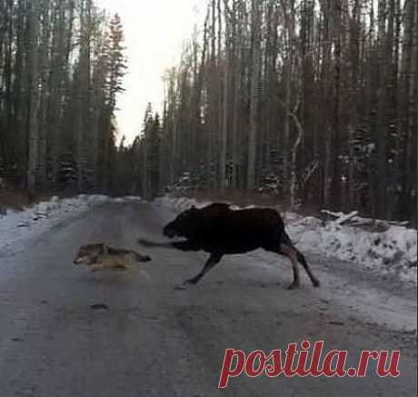 Редкий кадр