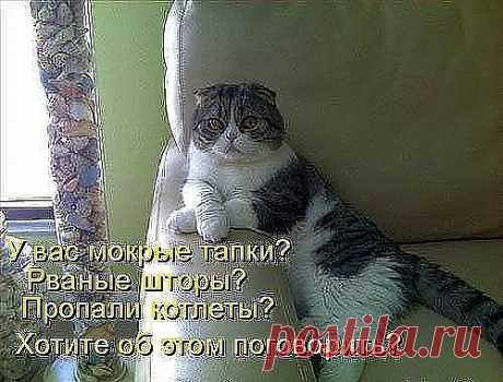 Поговорим?