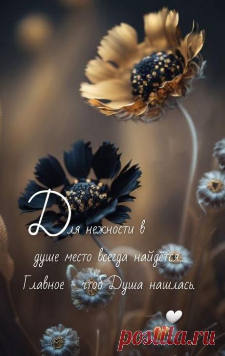 Разное>Совет дня!