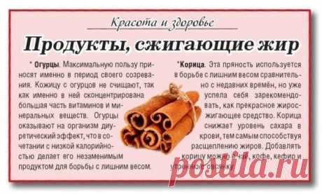 Продукты сжигающие жир
