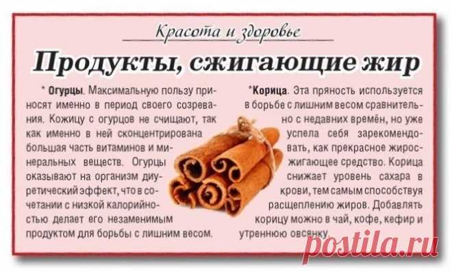 Продукты сжигающие жир