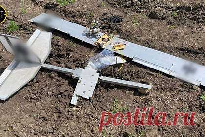 В российском регионе сбили беспилотник «Азова». Российские военные сбили украинский беспилотник в Судже Курской области. Об этом сообщил глава региона Роман Старовойт. Судя по раскраске и эмблемам, дрон принадлежал бригаде «Азов» (признана в России террористической и запрещена). Старовойт поблагодарил российских пограничников и армейцев за их службу.