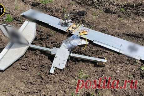 В российском регионе сбили беспилотник «Азова». Российские военные сбили украинский беспилотник в Судже Курской области. Об этом сообщил глава региона Роман Старовойт. Судя по раскраске и эмблемам, дрон принадлежал бригаде «Азов» (признана в России террористической и запрещена). Старовойт поблагодарил российских пограничников и армейцев за их службу.