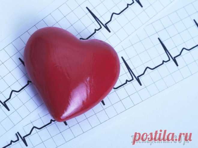 Гипертрофия левого желудочка: причины, лечение и последствия Миокард – это самый мощный мышечный слой стенки сердца, образованный клетками кардиомиоцитами. Эта ткань присутствует и в предсердиях, и в желудочках, но сокращается по-разному.
Миокард снабжен провод...