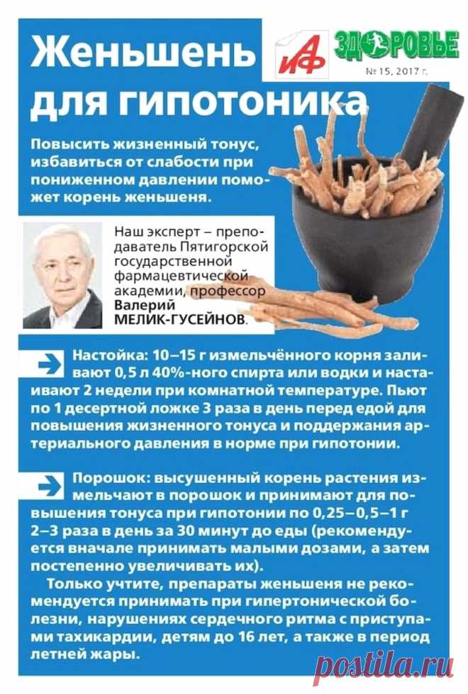 Женьшень для гипотоника