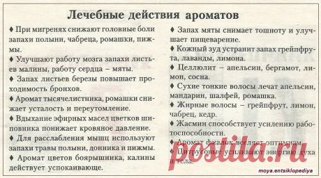 Лечебное действие ароматов