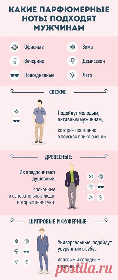 Руководство для тех, кто хочет разбираться в парфюме (9 картинок) » RadioNetPlus.ru развлекательный портал