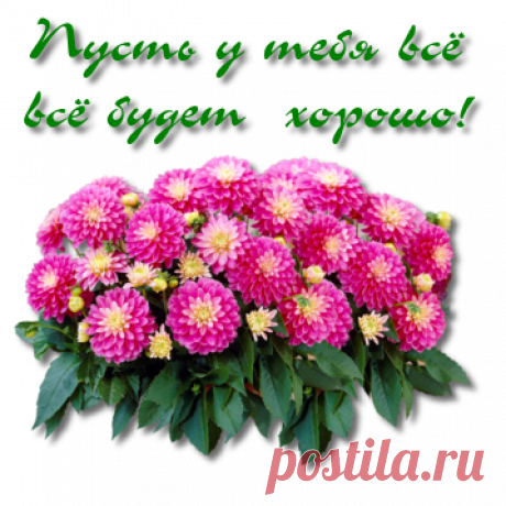 Рецепт, как очистить стиральную машинку — Мой дом