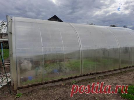 Как подготовить теплицу к зиме осенью: советы опытных агрономов для надёжной защиты урожая будущего года. Правильная подготовка теплицы к зимнему периоду становится залогом успешного урожая в следующем сезоне.