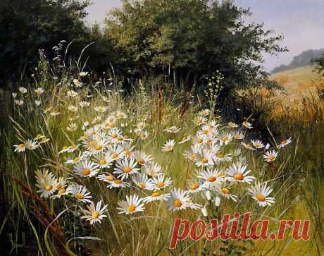 Художник Mary Dipnall. Полевые цветы... Разноцветье средь трав и росы....