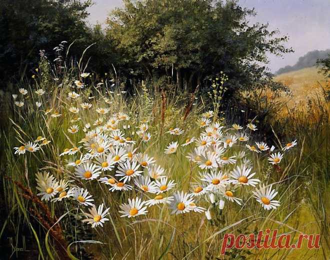 Художник Mary Dipnall. Полевые цветы... Разноцветье средь трав и росы....