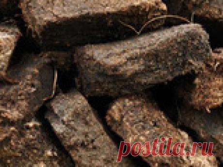 Важные особенности использования торфа Торф совершенно заслуженно считается поистине уникальным естественным природным материалом – пользы от него действительно немало! Он активно используется и в сельскохозяйственных делах, и в энергетической отрасли, а также в косметологии, в медицинских целях и даже при производстве всевозможных ковров, различных тканей или утеплителей! А креативные шотландцы выпускают очень необычный «торфяной» виски (торф в данном случае выполняет рол...