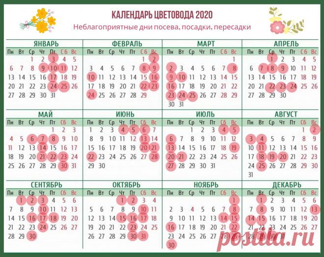 Календарь цветовода на каждый месяц 2020 года (Лунный). Хочу поделиться с цветоводами календарем, которым планирую пользоваться в 2020 году. В нем даны благоприятные дни для основных работ по уходу за цветами на каждый месяц.