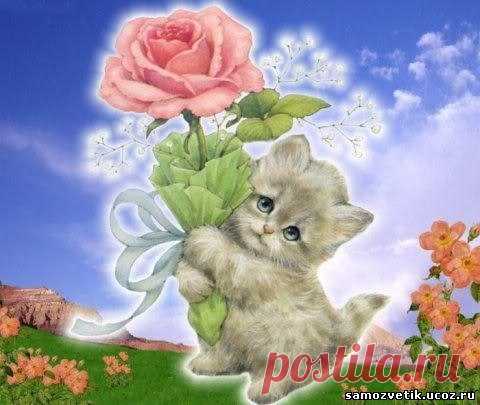 • Лучшие картинки и открытки ► vk.com/fotomimi ◄