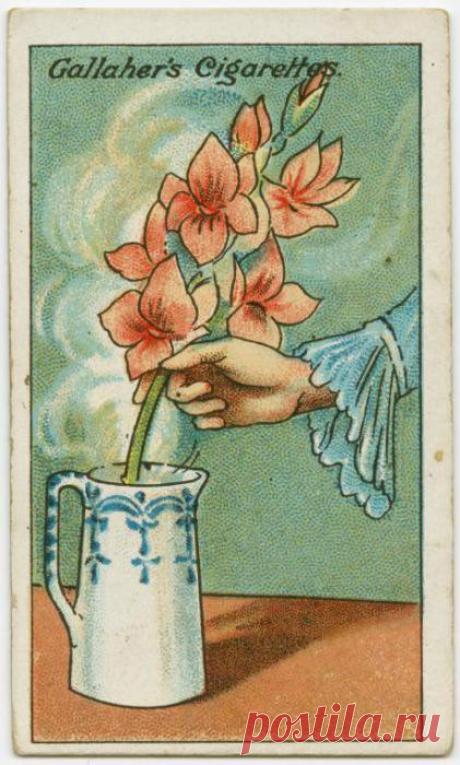 10 полезных советов столетней давности