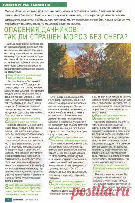 Опасения дачников: так ли страшен мороз без снега?